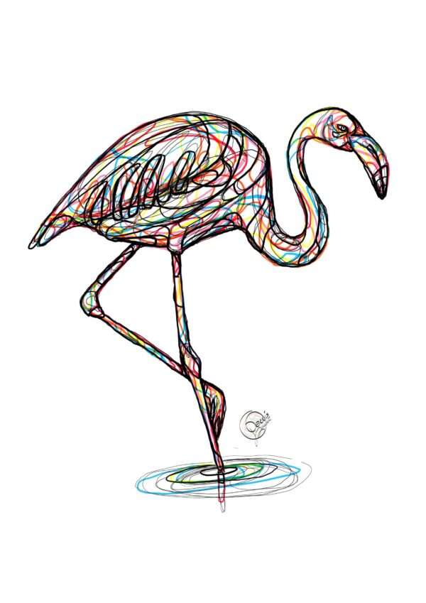 Flamingo