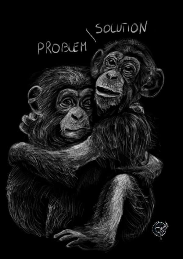 Problem / solution