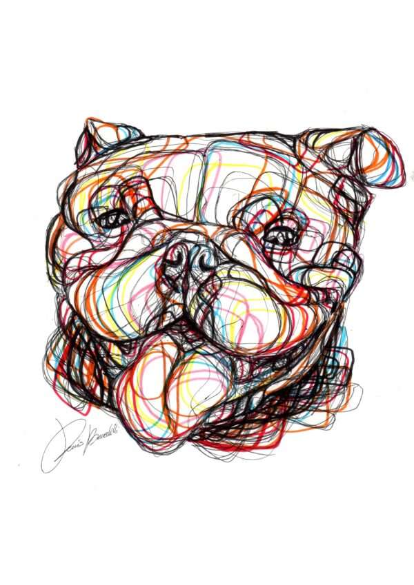 Bulldog Inglese