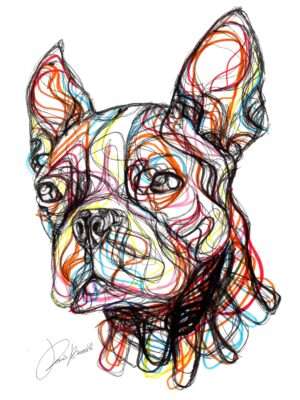Bulldog Francese