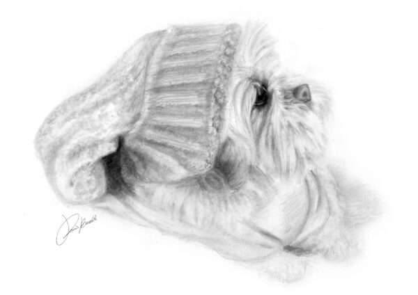 Cane con cappello