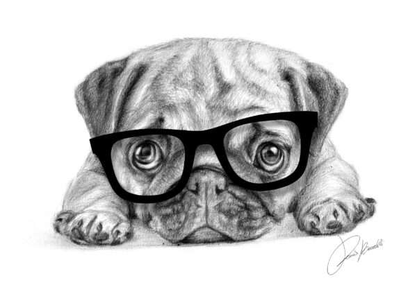 Carlino Occhialuto