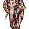 Elefante Color Line Art