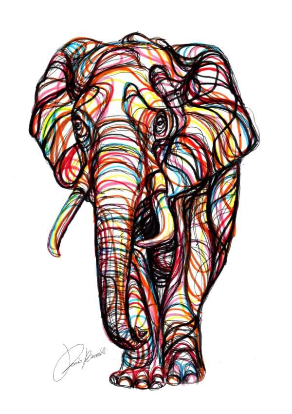Elefante Color Line Art