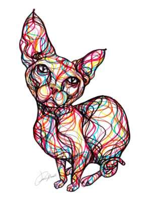 Gatto color line style