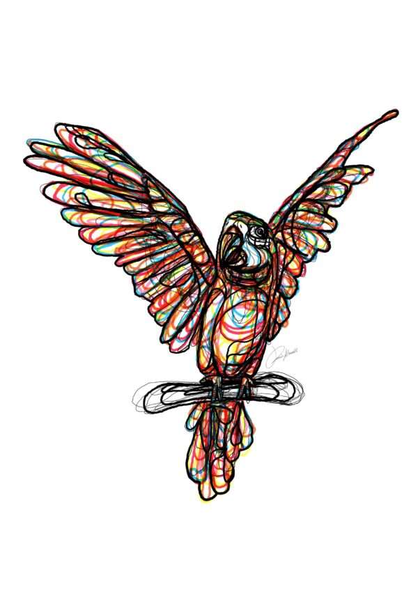 Papagallo Color line style
