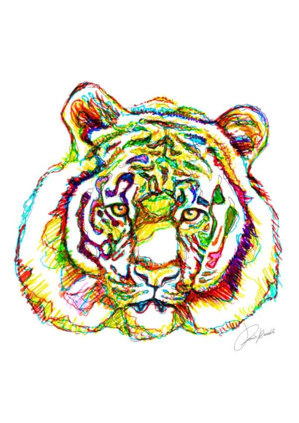 Tigre Variopinta